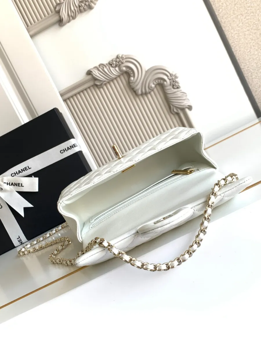 chanel_latest_mini_grained_lambskin_20bag_as2431_inside.jpg