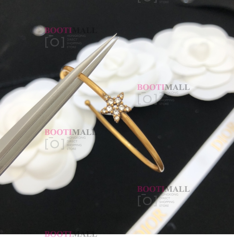 LADY 귀걸이 디올